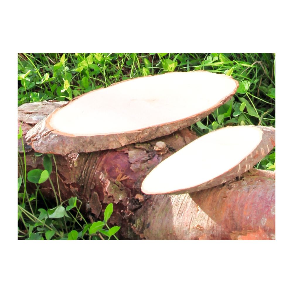 Rindenbretter-ovalKRjJpRkld07Y7 Rindenbretter - oval